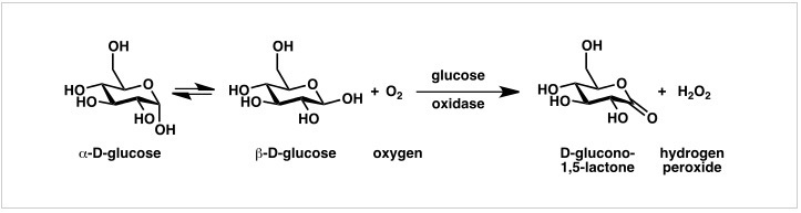 Glucose oxidase화학 반응